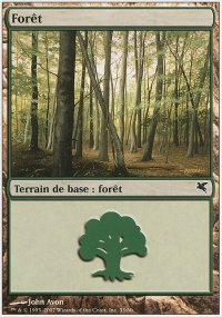 Forest 11 - Salvat / Hachette 2005