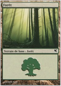 Forest 14 - Salvat / Hachette 2005