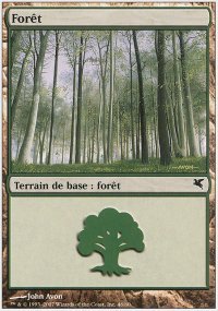 Forest 16 - Salvat / Hachette 2005