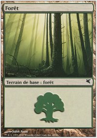 Forest 18 - Salvat / Hachette 2005