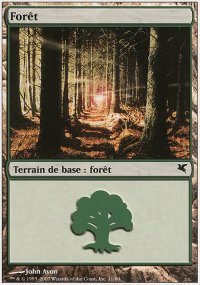 Forest 24 - Salvat / Hachette 2005