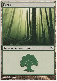 Forest 29 - Salvat / Hachette 2005