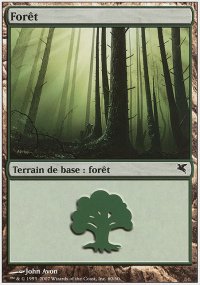 Forest 40 - Salvat / Hachette 2005
