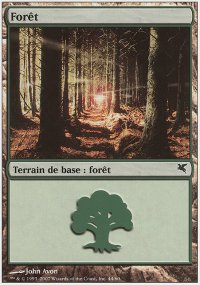 Forest 49 - Salvat / Hachette 2005