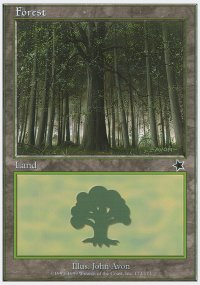 Forest 3 - Starter