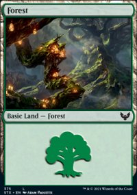 Forest 2 - Strixhaven School of Mages