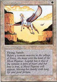 Mesa Pegasus - Summer Magic