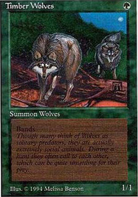 Timber Wolves - Summer Magic