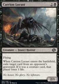 Carrion Locust - The Brothers’ War