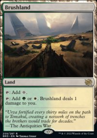 Brushland 1 - The Brothers’ War