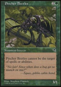 Pincher Beetles - Tempest