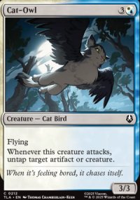 Cat-Owl - 
