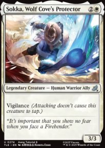 Sokka, Wolf Cove's Protector - Avatar: The Last Airbender Eternal-Legal