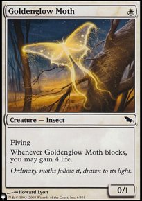 Goldenglow Moth - The List