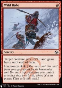 Wild Ride - The List
