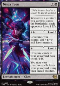 Ninja Teen - 