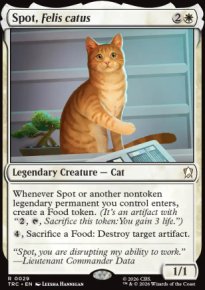 Spot, Felis catus 1 - Star Trek Commander Decks