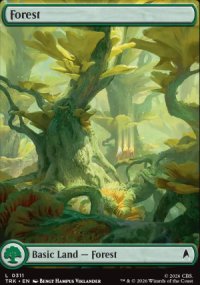 Forest - 