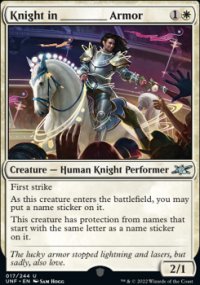 Knight in ________ Armor 1 - Unfinity