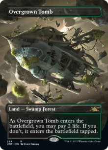 Overgrown Tomb 1 - Unfinity