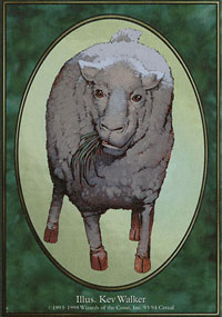 Sheep - Unglued