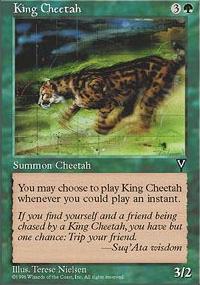 King Cheetah - Visions