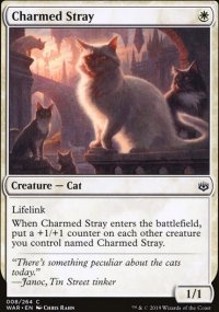 Charmed Stray - War of the Spark