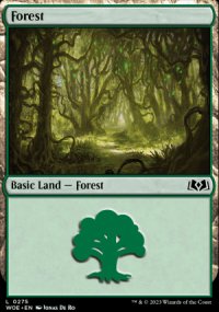 Forest 2 - Wilds of Eldraine