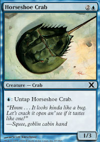 Horseshoe Crab - 10th Edition