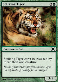 Stalking Tiger - 10th Edition